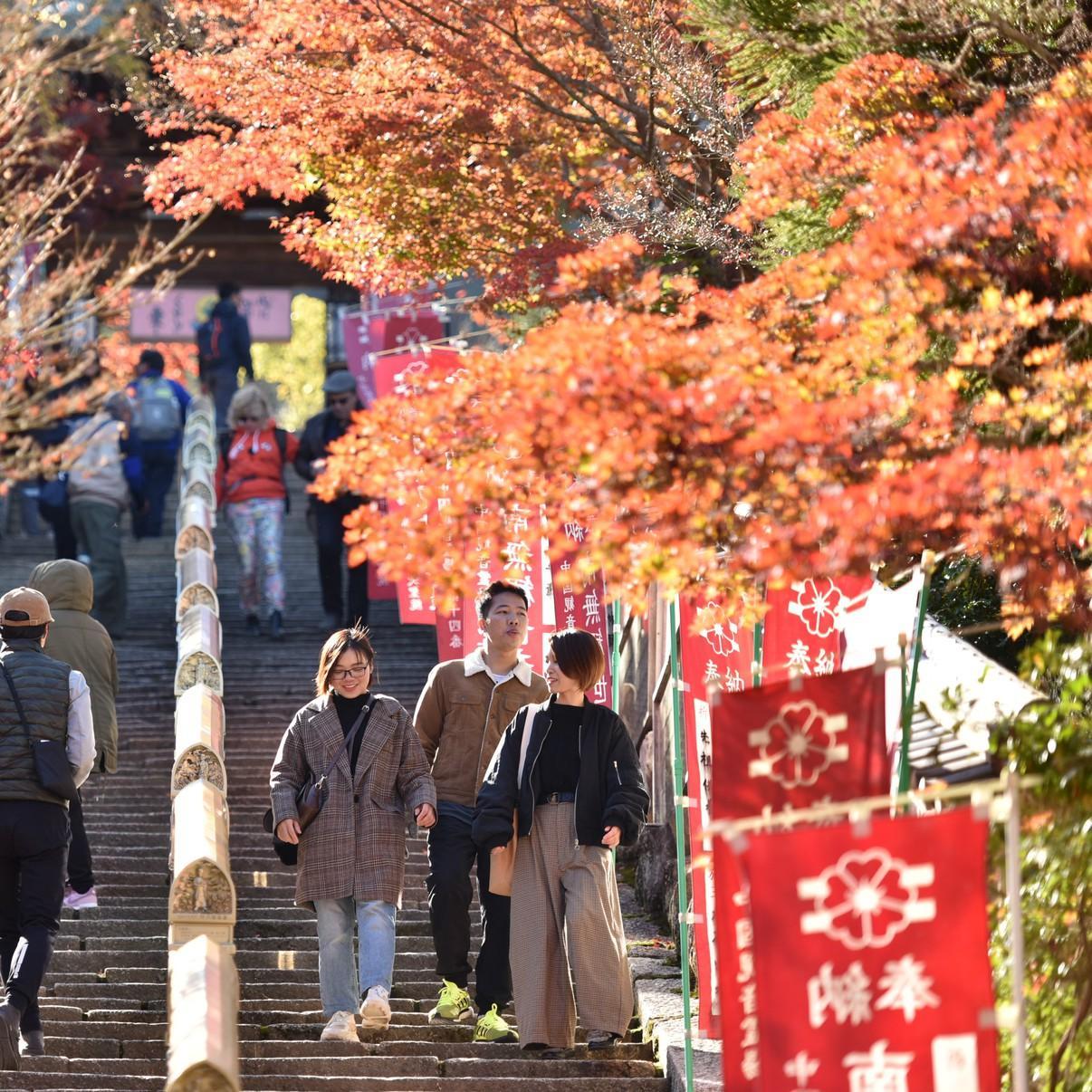 Hotel Miyajima Morinoyado Hatsukaichi Zewnętrze zdjęcie