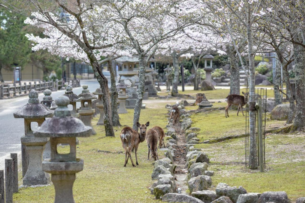 Hotel Miyajima Morinoyado Hatsukaichi Zewnętrze zdjęcie
