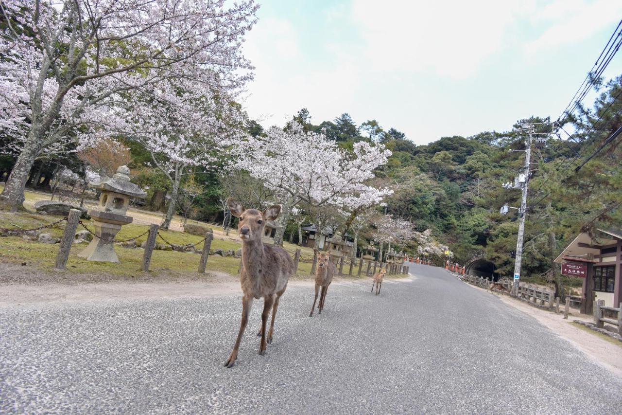 Hotel Miyajima Morinoyado Hatsukaichi Zewnętrze zdjęcie